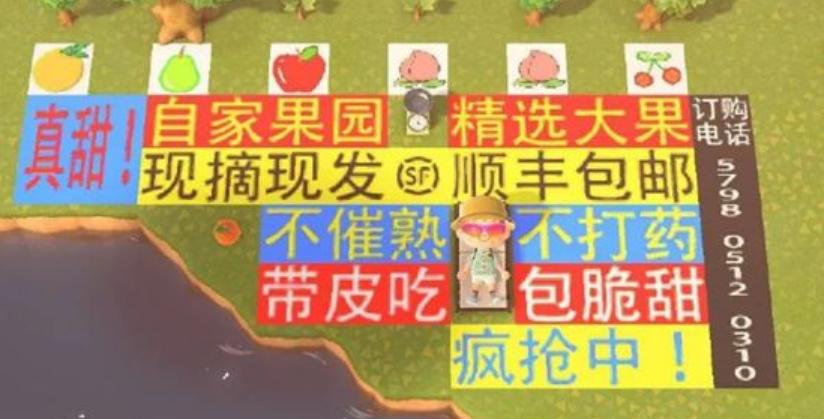 玩动森挣人民币,动森赚钱变现