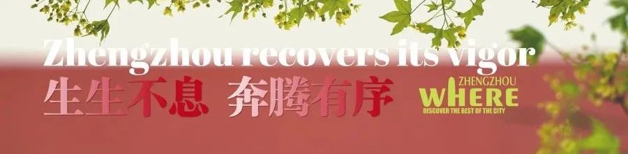 【双语听读】Henandialectclass河南话通关指南