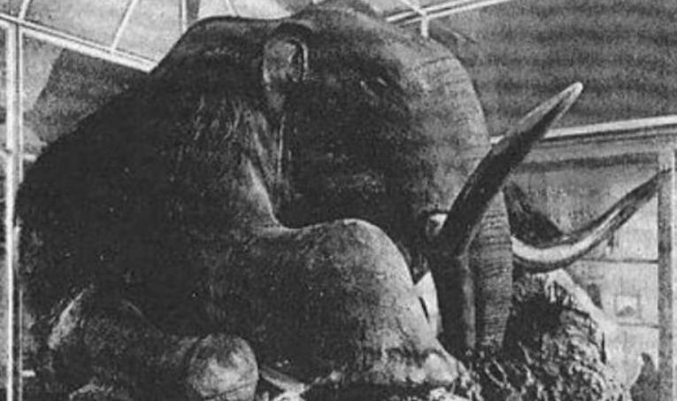 超长期储存的食物,超长期食品