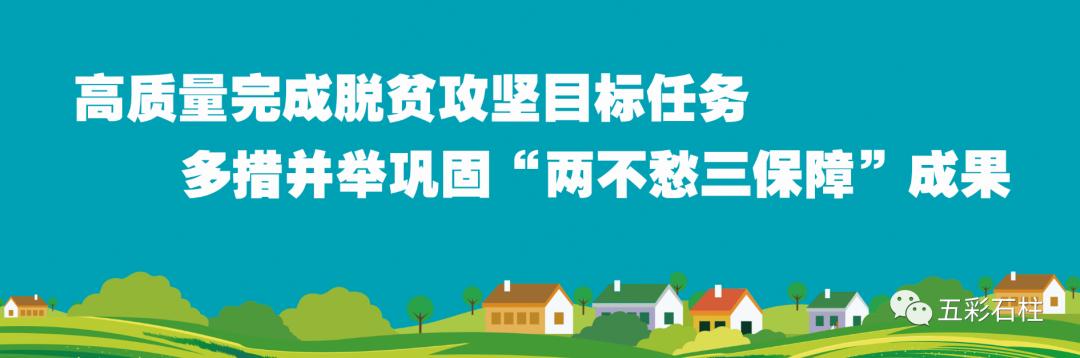 教师节对楷模的表彰,教师节表彰个人先进事迹100字