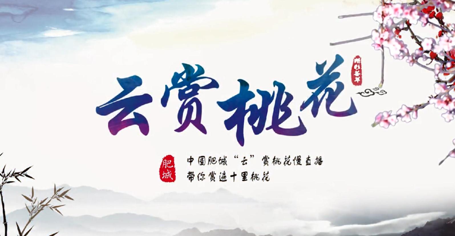 肥城桃花盛开完整版,游肥城赏桃花