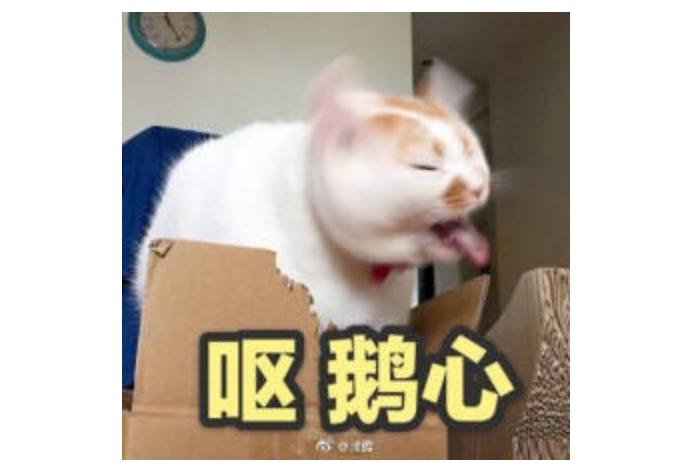 高管性侵养女事件被立案调查结果,高管涉嫌性侵养女案最新解析