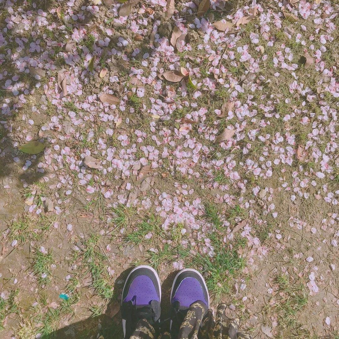 秋冬最水润的粉底液,粉底液推荐秋冬奶油肌