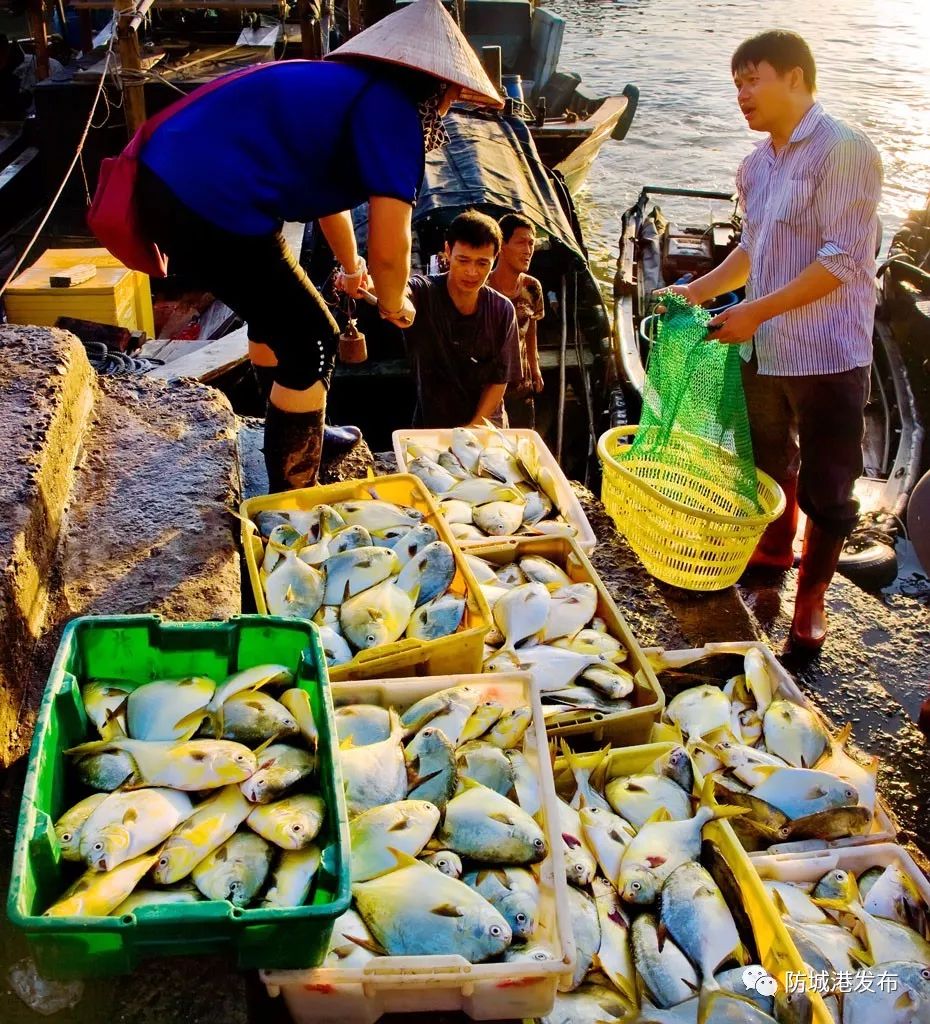 防城港休渔期海鲜贵吗,防城港休渔期时间表