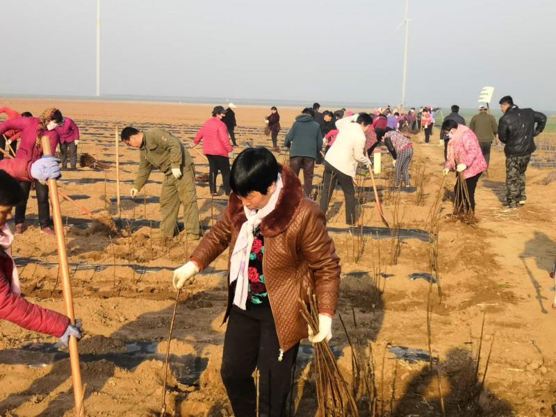 村集体经济发展逆袭之路,经济薄弱村的转型之路