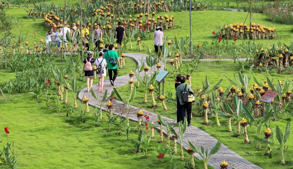 遂宁乡村振兴第一村拱市村,遂宁脱贫攻坚战