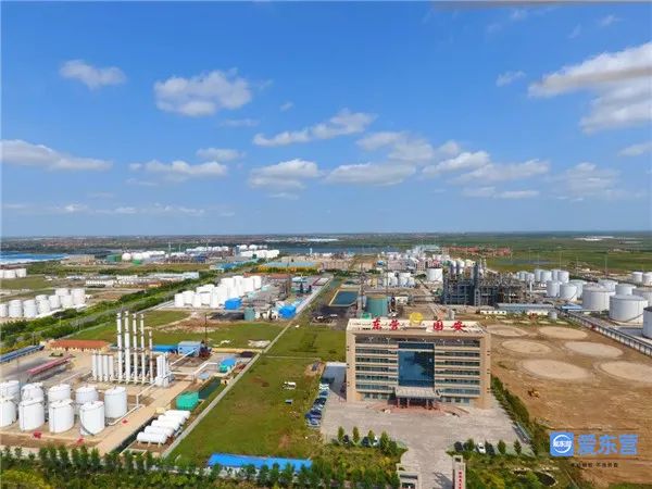 2020年东营市各县市gdp排名,东营市各县市区排名