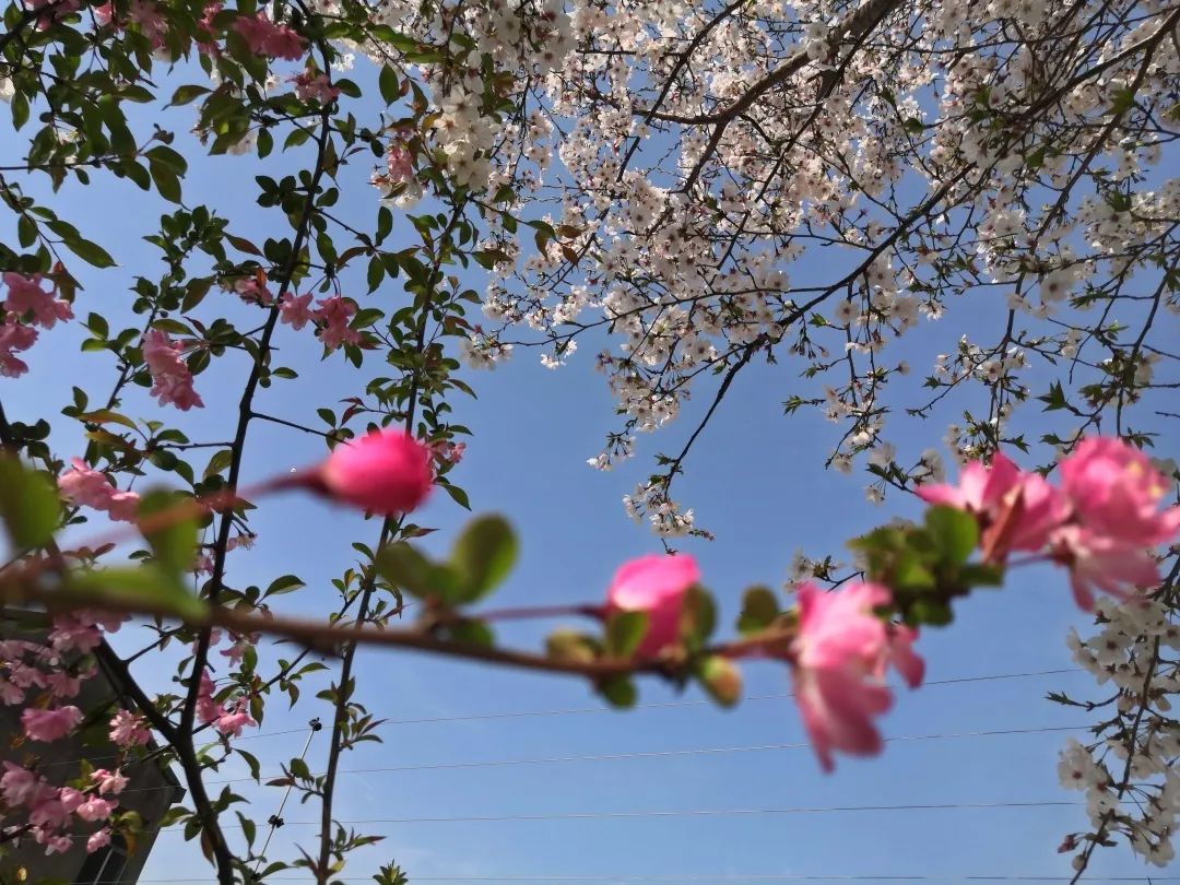 四月校园联谊,四月相聚