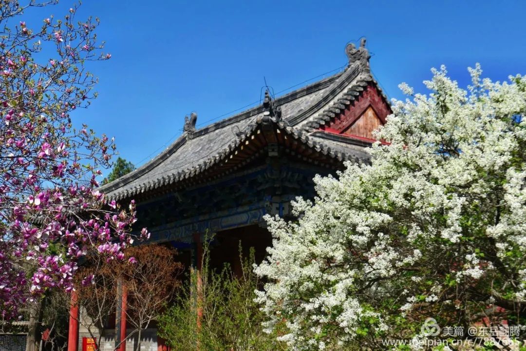 扫黑除恶“三句半”“小美“表演获点赞