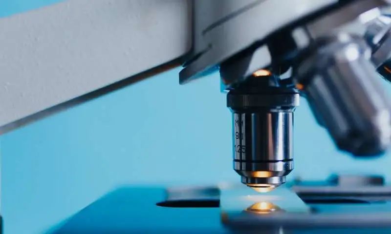 派姆单抗狙击肺癌,柳叶刀治疗癌症