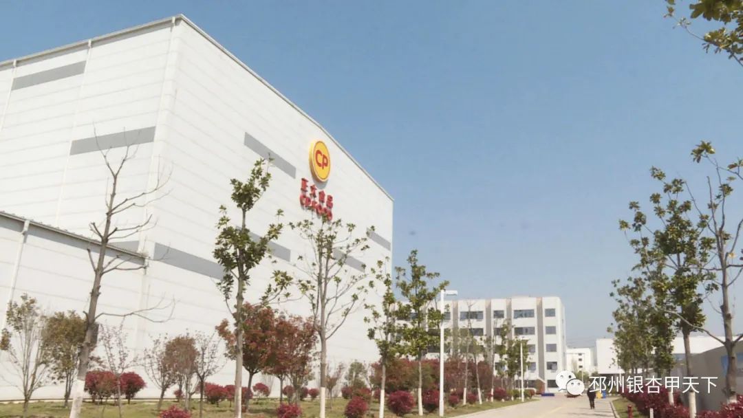 邳州工业产业发展,起步就要冲刺开局就要争先