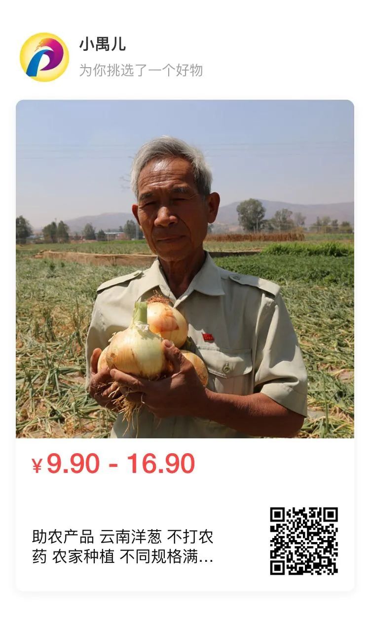 仅售9.9元/5斤!云南10万吨出口级洋葱困在地里,价格贱到农民流泪…央视已报道,恳请相助