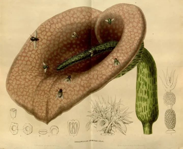 科技爱好者周刊102期,科技爱好者日报