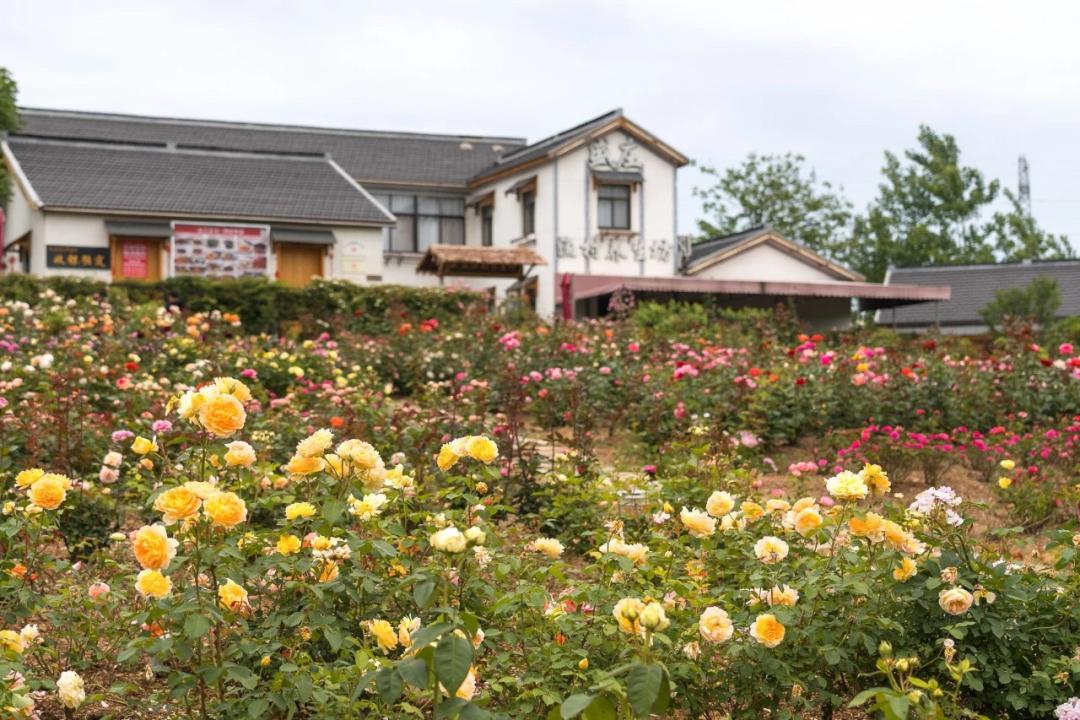 最美17公里路线,最美7公里人多吗