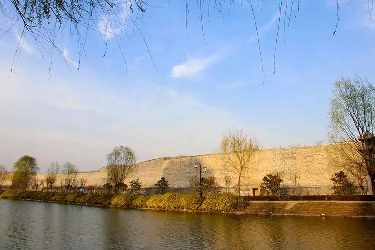 石家庄的春天真的太美啦,石家庄春天看花