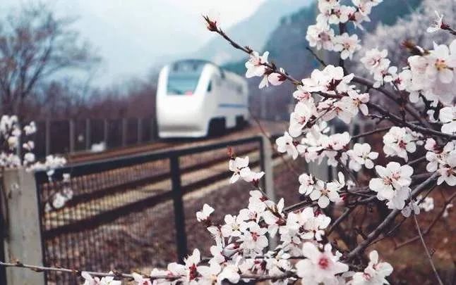 北京春季和秋季花粉过敏哪个厉害,预防花粉皮肤过敏的正确方法