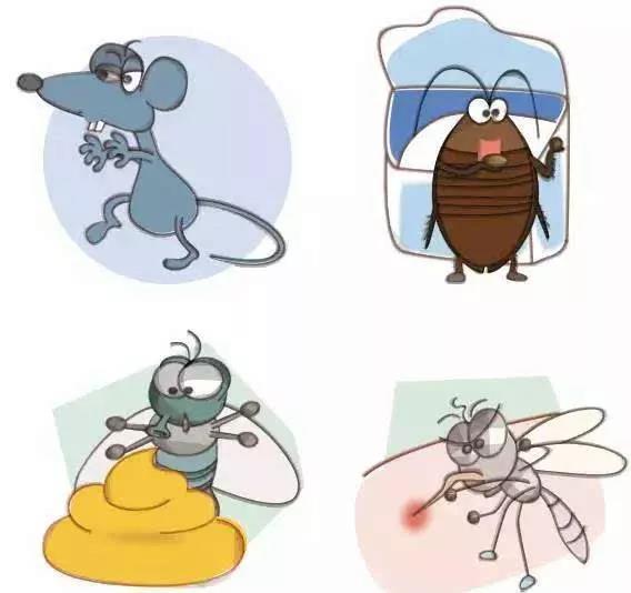 团团帮除四害,创文明城市爱国卫生大扫除