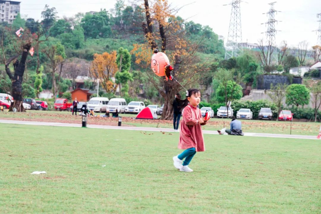 重庆最大的花市需要门票么,重庆最大的花市怎么走