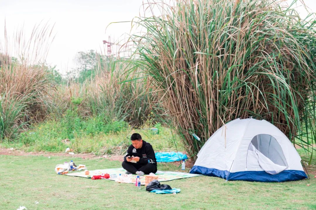 重庆最大的花市需要门票么,重庆最大的花市怎么走