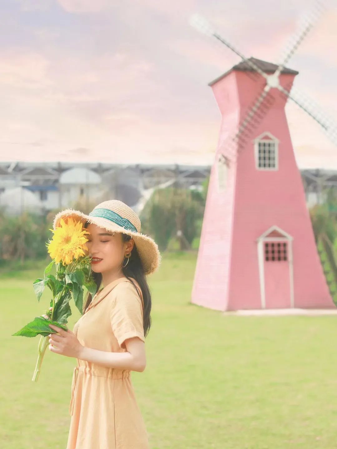 重庆最大的花市需要门票么,重庆最大的花市怎么走