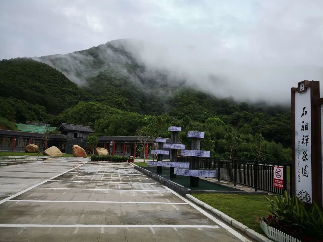 茶香禅韵入梦完整视频,世外桃源神仙度假地