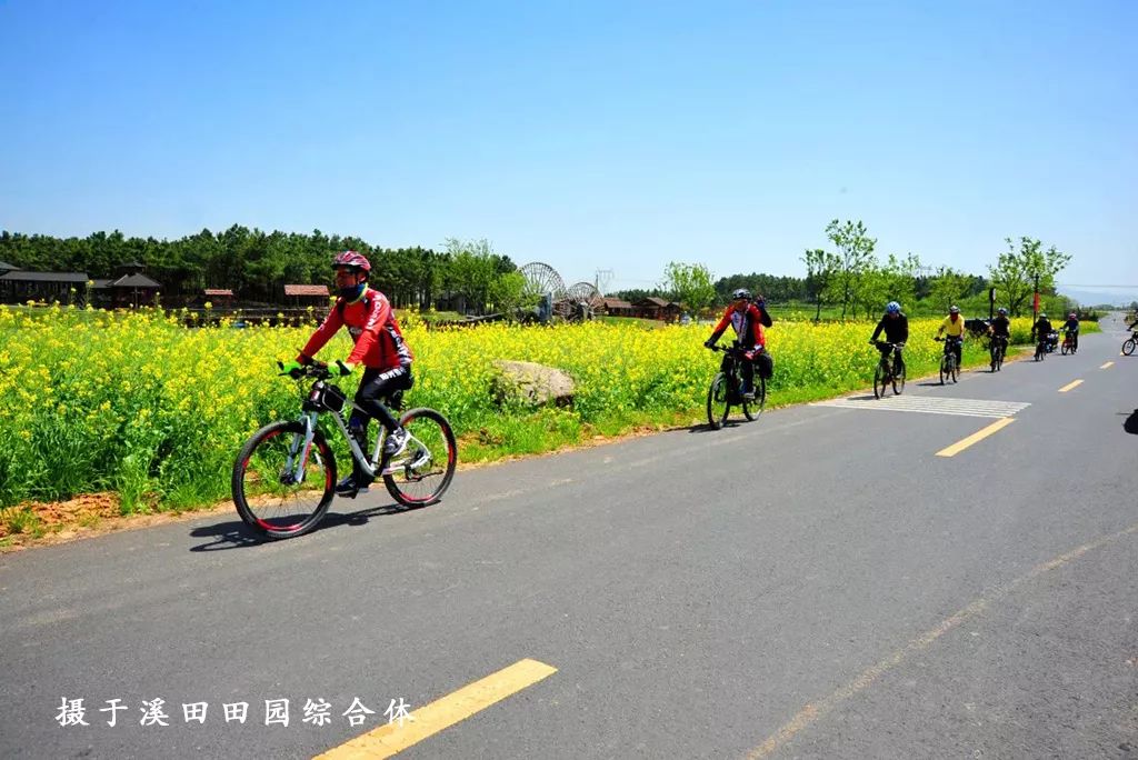 踏青江宁,南京江宁踏青赏花好去处