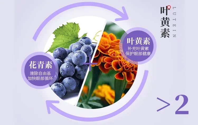 日本眼科协会力荐的“蓝光过滤器”,每天2粒,眼干眼涩眼疲劳都拜拜