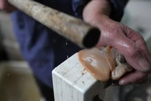 冷冻的河蚌红烧河蚌最正宗做法,四月蚌怎么烧才好吃