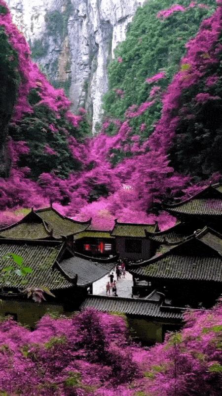 五一老人不能出门玩？这组震撼世界的3D动图，让你一眼游中国！美到逆天