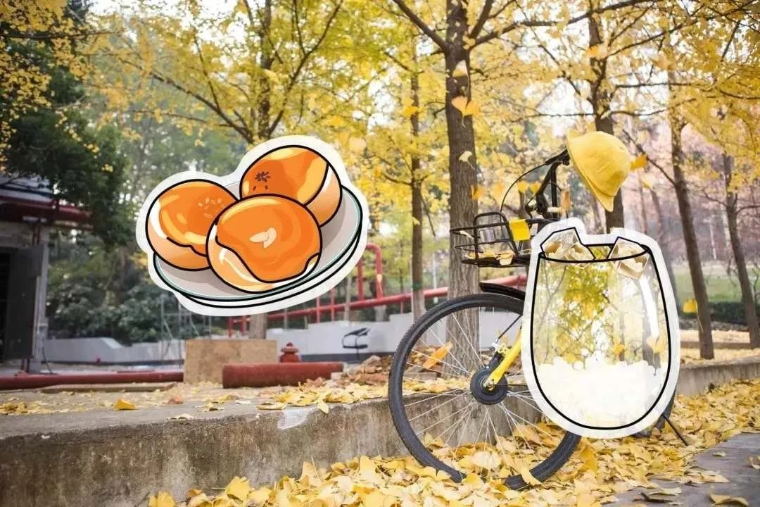 离开学校的第100天,离开校园的第100天