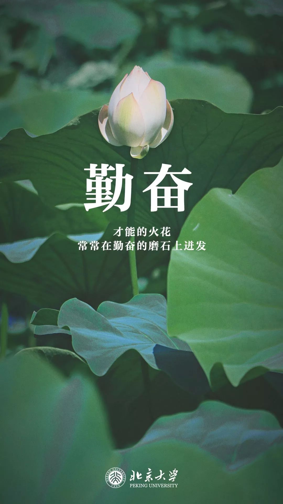 北大考研复试准备材料,2022年北大考研复试方式