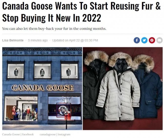 加拿大鹅羽绒服哪里可以回收,加拿大鹅远征系列回收价