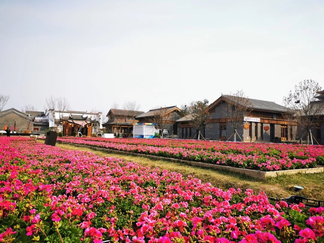 春天游世园地址,春天带你去游玩