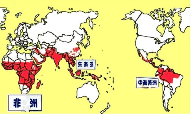 钟南山和李兰娟送来婚礼祝福│另一种传染病！男子回国后发烧39.5℃│发朋友圈判赔80万│16名醉驾司机5年禁驾并被刑事立案