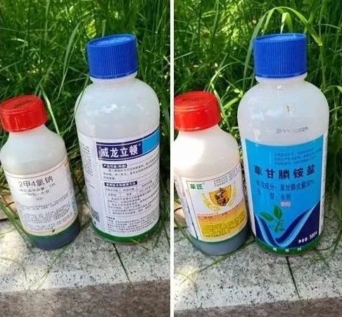 误食农药的女孩抢救过来没,误食农药小孩后续