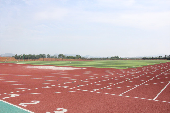 罗平红江汽车城足球场,白沙镇罗平新村足球场