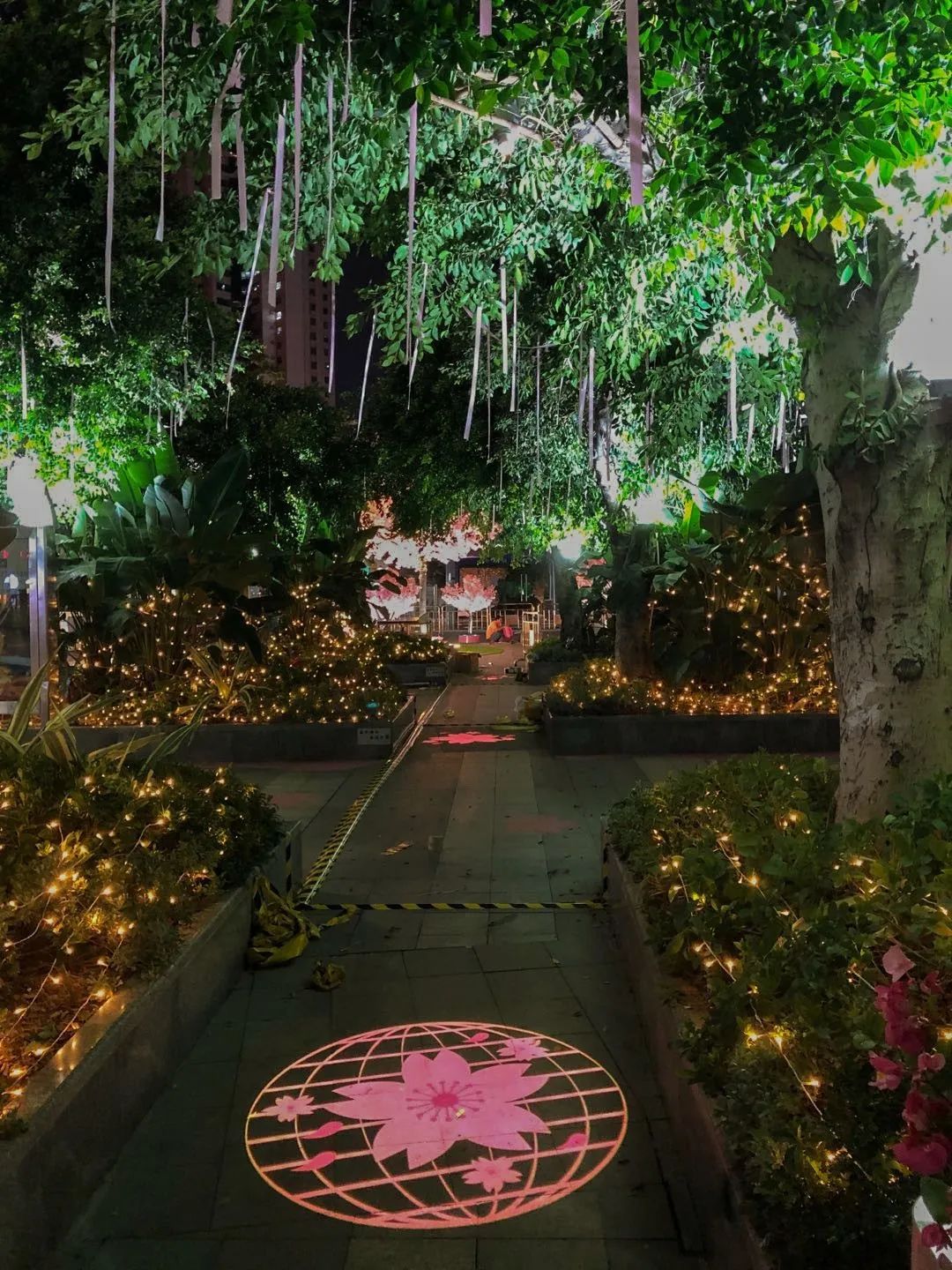 五一打卡超大的油菜花田,五一打卡家门口的花海