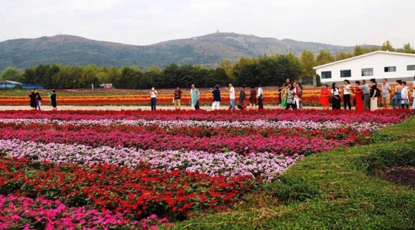 繁华重启，我们再见！中心城区商超食品价格明日起停止发布