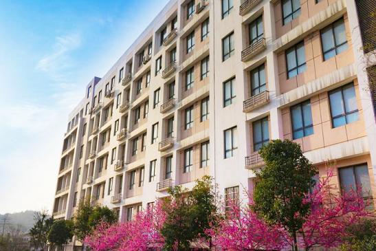 雨花区雅礼实验中学有啥要求,雅礼雨花中学