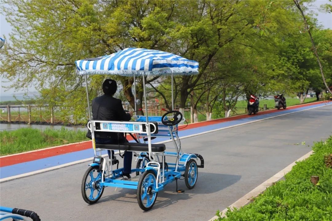 健身步道最新视频,健身走起跟着节奏嗨起来