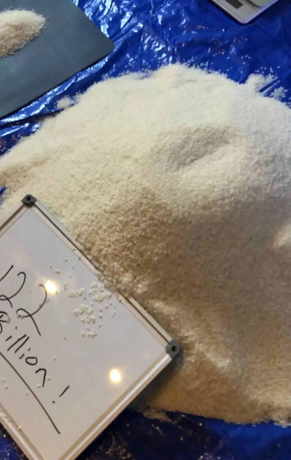 tiktok理财课程,tiktok网红励志