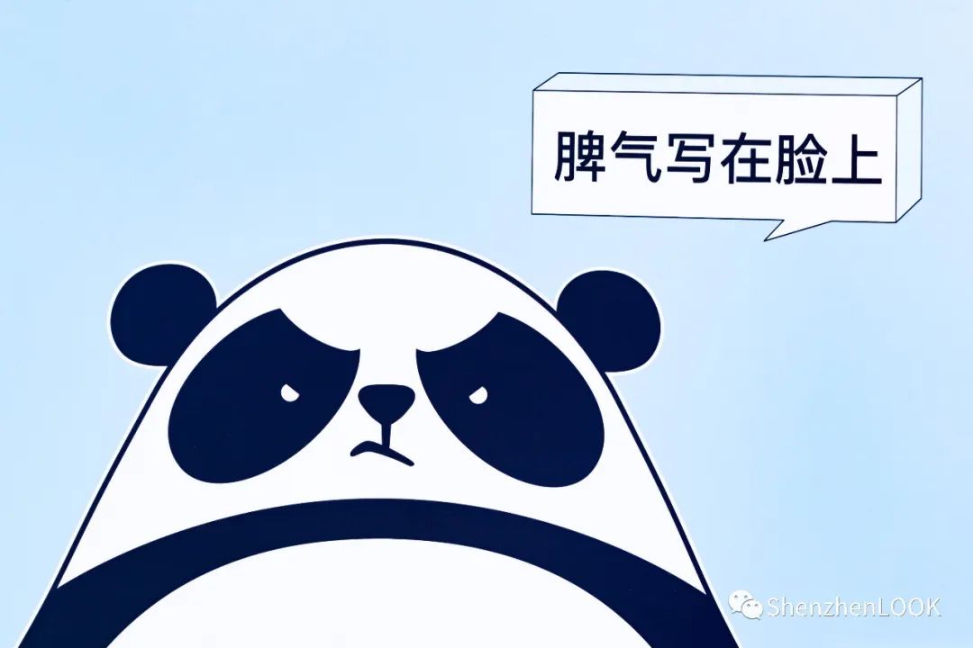 深圳地铁14号线最新消息 (深圳地铁14号线通车时间)