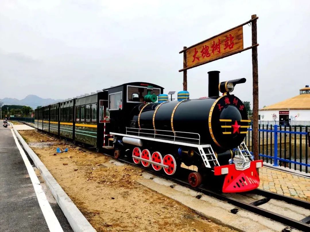 樱桃熟了五一好去处,采摘樱桃好去处五莲