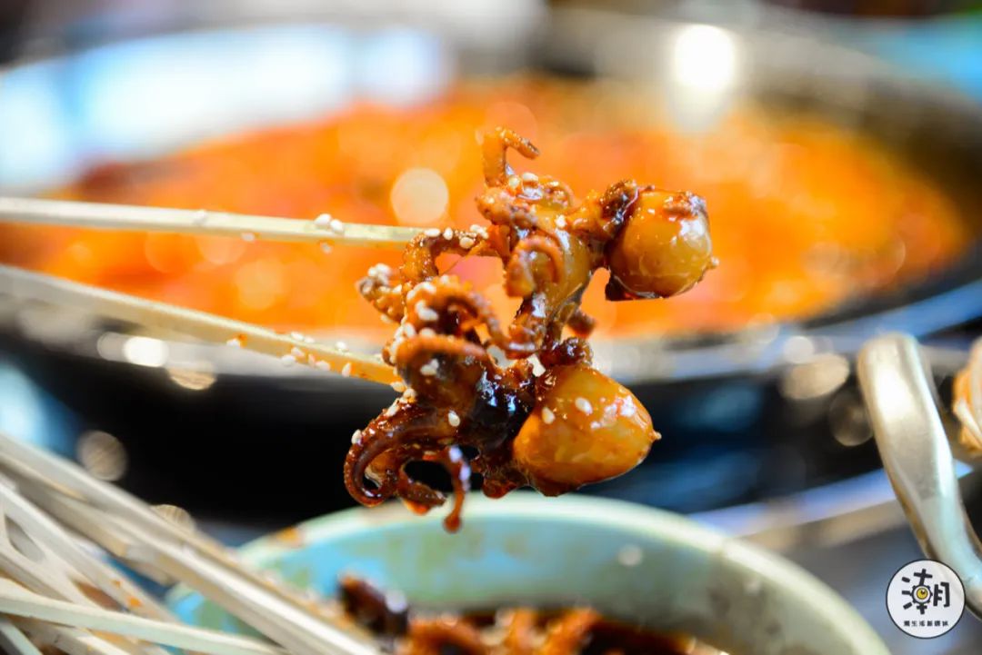 怎么处理八爪鱼,遇到八爪鱼怎么拔牙齿