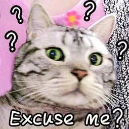 骗子开手机店诈骗120万,手机店新型诈骗