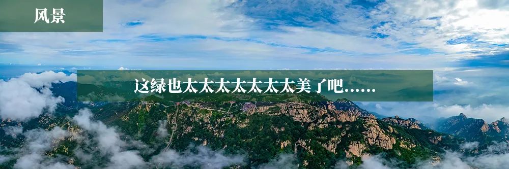 扫黑除恶“三句半”“小美“表演获点赞