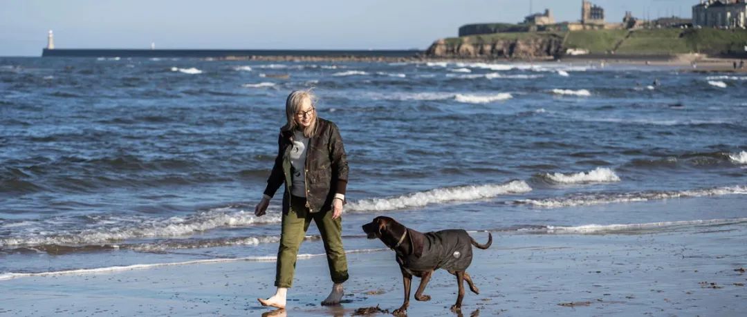 终于找到满眼都是你的狗子了,终于找到同类的哈士奇