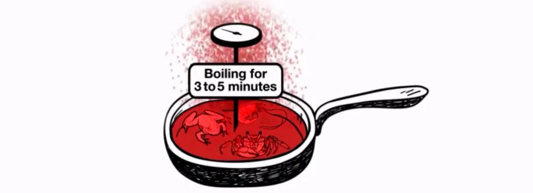 广东男童感染寄生虫病,男童寄生虫病