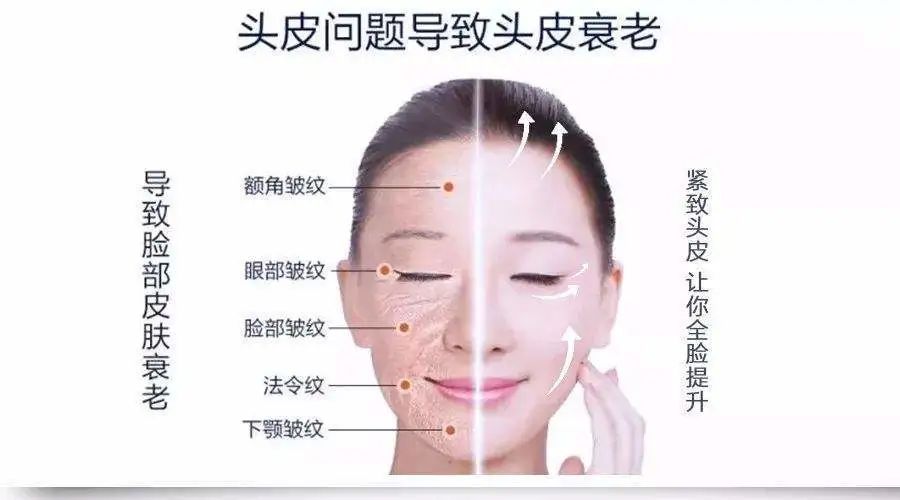 洗发水中的爱马仕是什么,洗发水控油蓬松推荐小众品牌女士