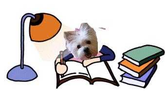 三年级学生骨折,初三开学多人骨折